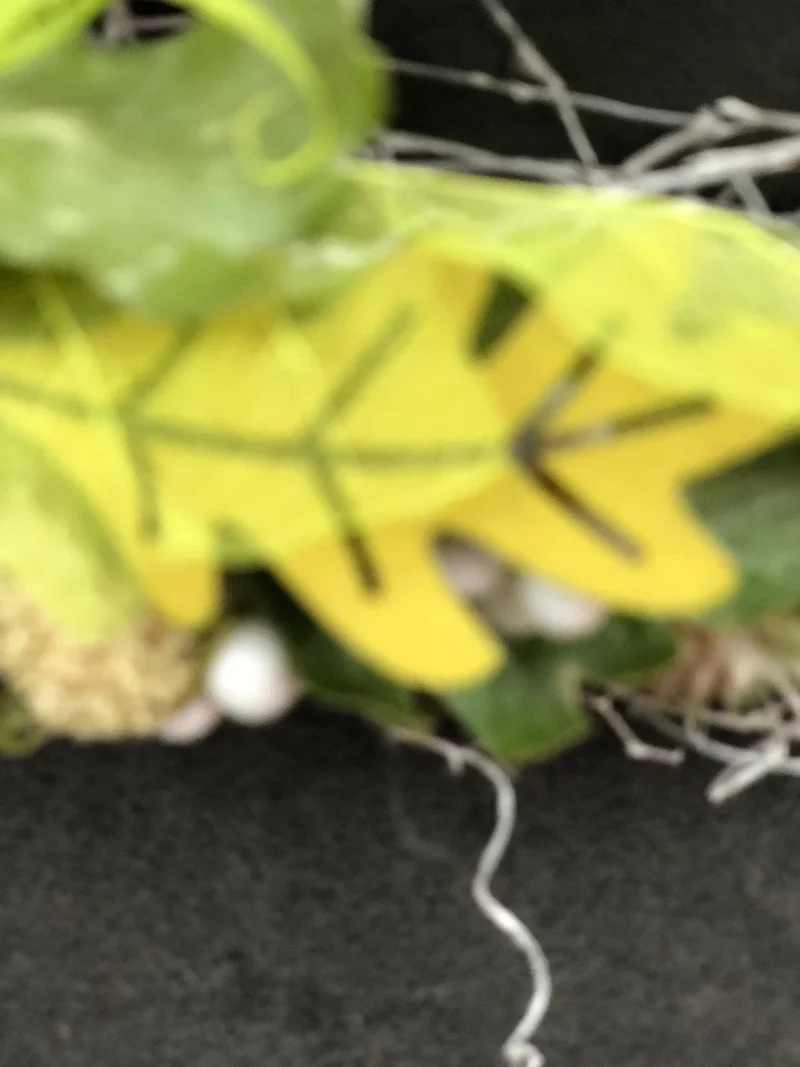 Herbst Türkranz mit Eule 22cm – Türdeko warm & einladend