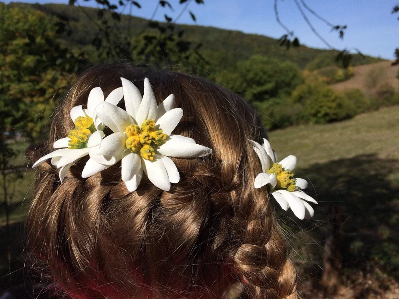 Haarklammern Edelweiß – Haarklemmen mit Seidenblumen 3er Set