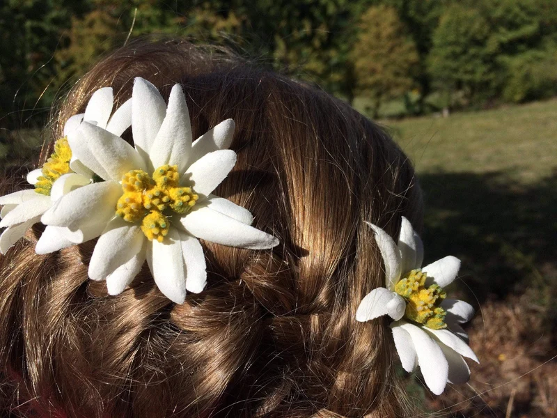 Haarklammern Edelweiß – Haarklemmen mit Seidenblumen 3er Set