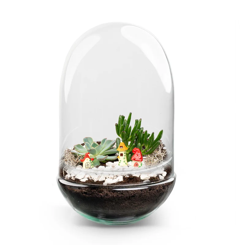 Egg XL Succulent - Open terrarium - Bottle garden DIY kit - Ø 17,5 cm ↑ 30 cm