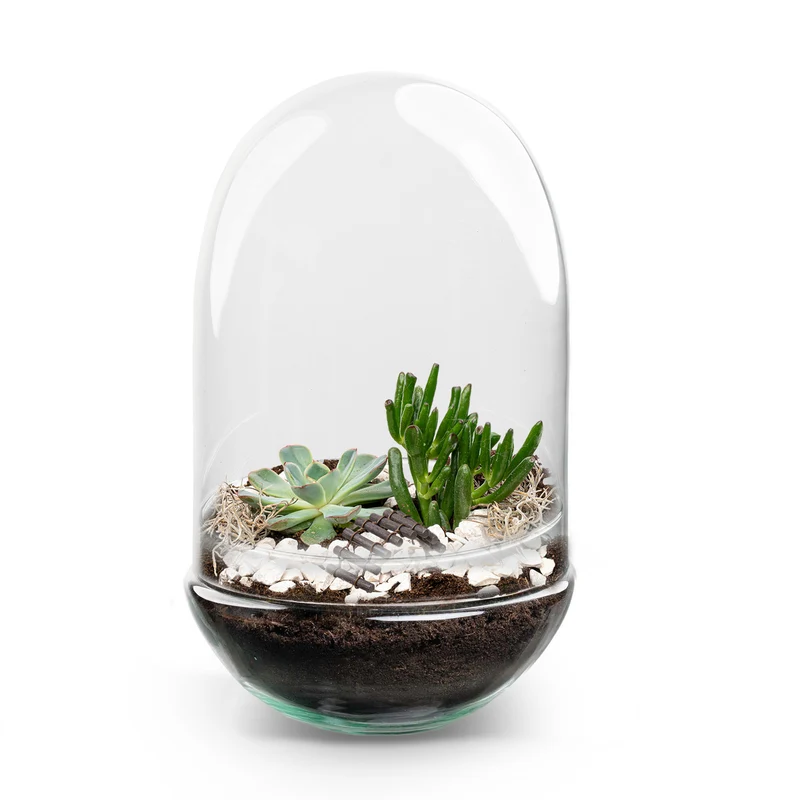 Egg XL Succulent - Open terrarium - Bottle garden DIY kit - Ø 17,5 cm ↑ 30 cm