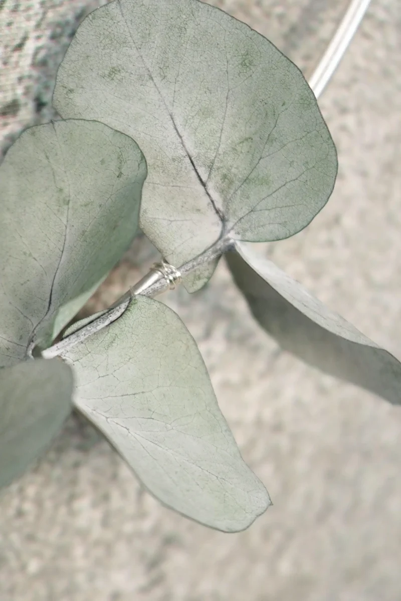 Eukalyptus Trockenblumen Girlande – Fensterdeko handgefertigt – langle
