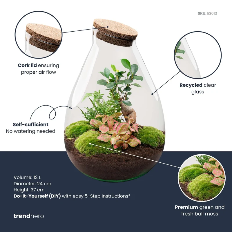Drop XL Red - Terrarium with cork - Bottle garden DIY kit – Ø 24 cm ↑ 37 cm