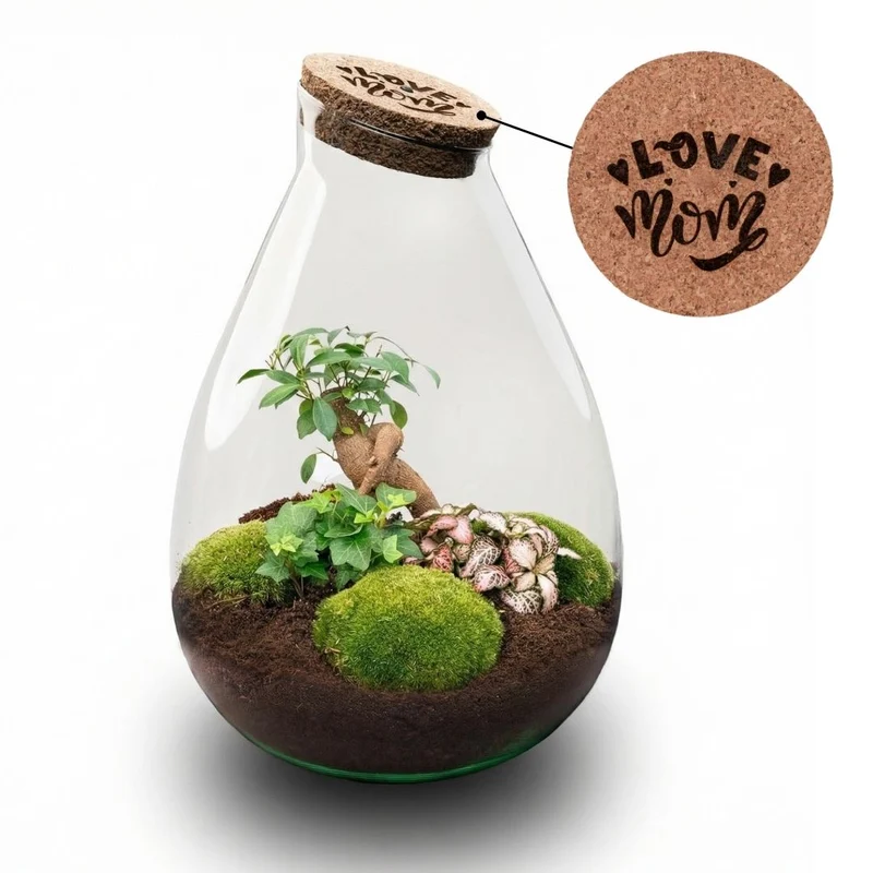'LOVE MOM' terrarium Drop XL + Engraved cork - Bottle garden DIY kit – Ø 24 cm ↑ 37 cm - Mother’s Day