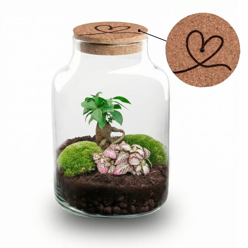 'HEART' terrarium Little Milky + Engraved ♡ cork with light - Bottle garden DIY kit - Ø 17 cm ↑ 25 cm