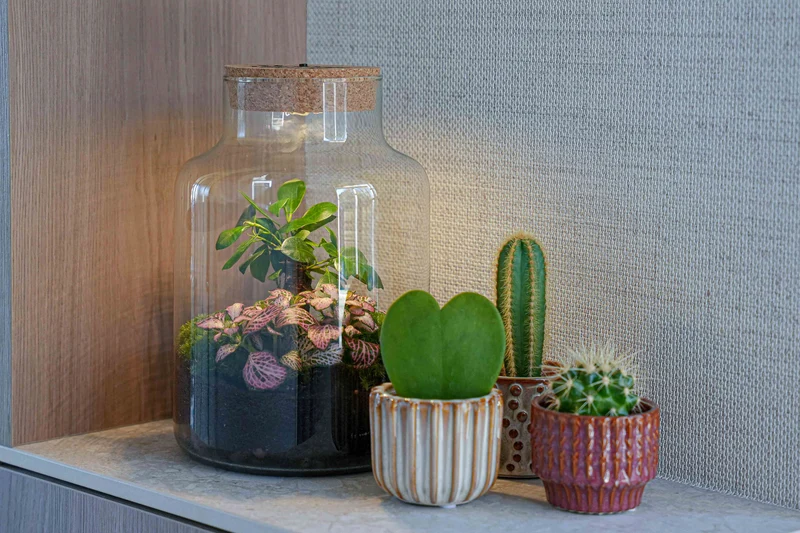 'LOVE MOM' terrarium Little Milky + Engraved cork with light - Bottle garden DIY kit - Ø 17 cm ↑ 25 cm