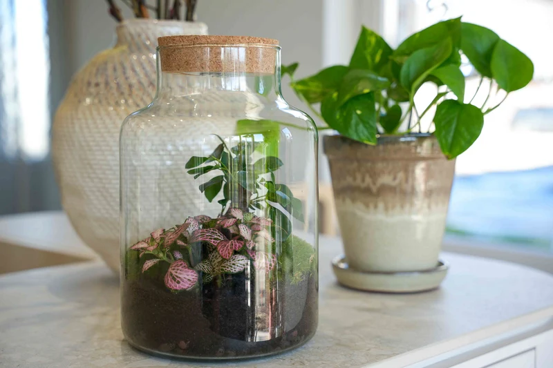 'LOVE MOM' terrarium Little Milky + Engraved cork with light - Bottle garden DIY kit - Ø 17 cm ↑ 25 cm