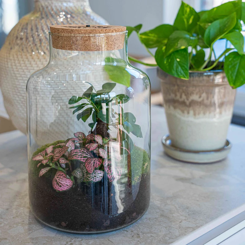 'LOVE MOM' terrarium Little Milky + Engraved cork with light - Bottle garden DIY kit - Ø 17 cm ↑ 25 cm