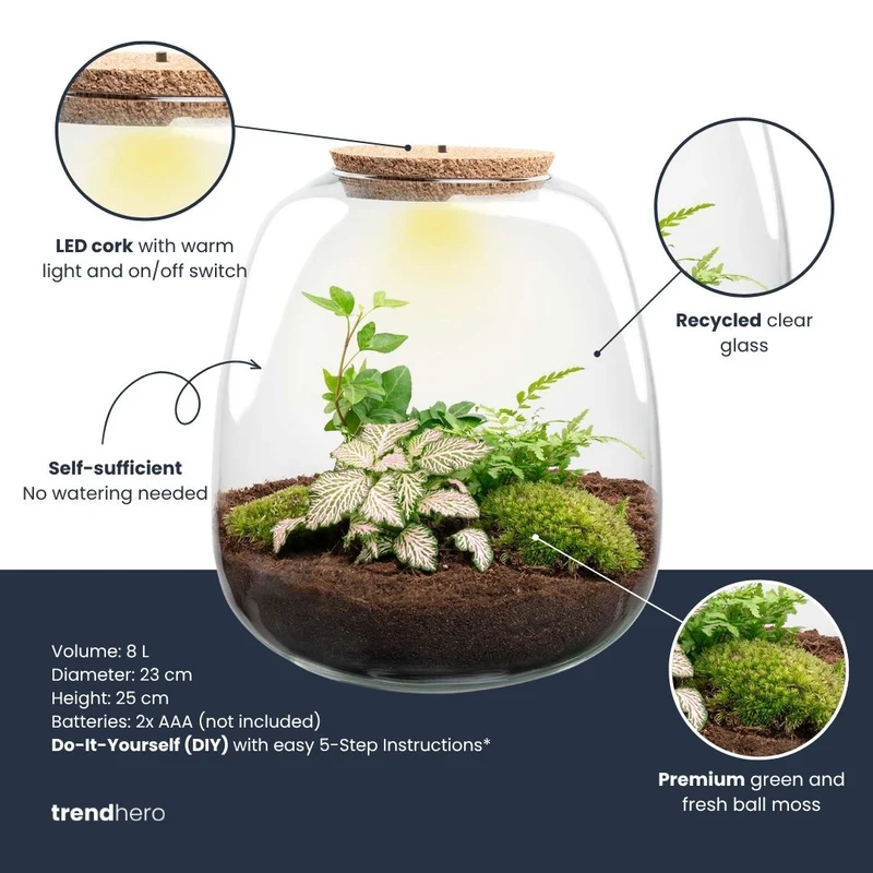 Emma - Bonsai Pink - Terrarium with light - Bottle garden DIY kit - Ø 23 cm ↑ 25 cm