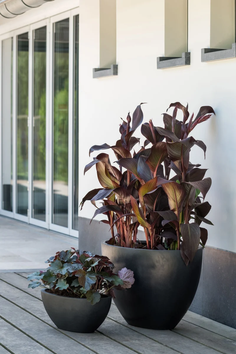 Ovale Pflanzschale Dorant Schwarz aus Fiberstone