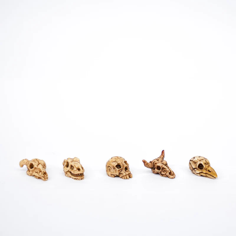 Mini Skull set - 5 pcs - Miniature figurines ↔ 2 cm ↑ 1 cm