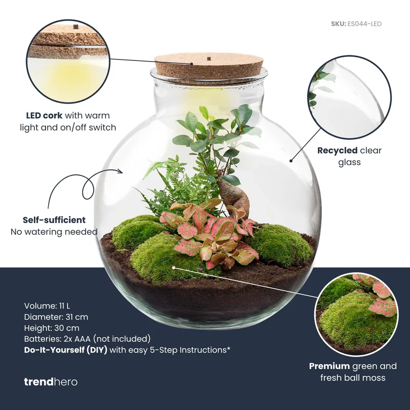 Bolder Bob Bonsai - Terrarium with light - Bottle garden DIY kit - Ø 31 cm ↑ 30 cm