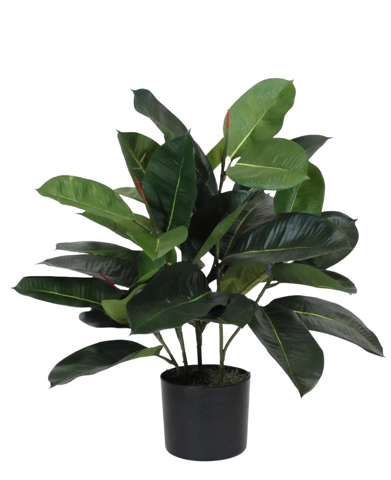 Kunstplant Rubber 60 cm