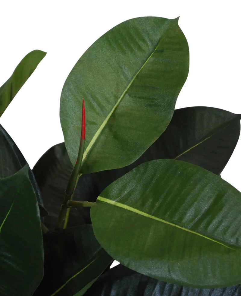 Kunstplant Rubber 60 cm