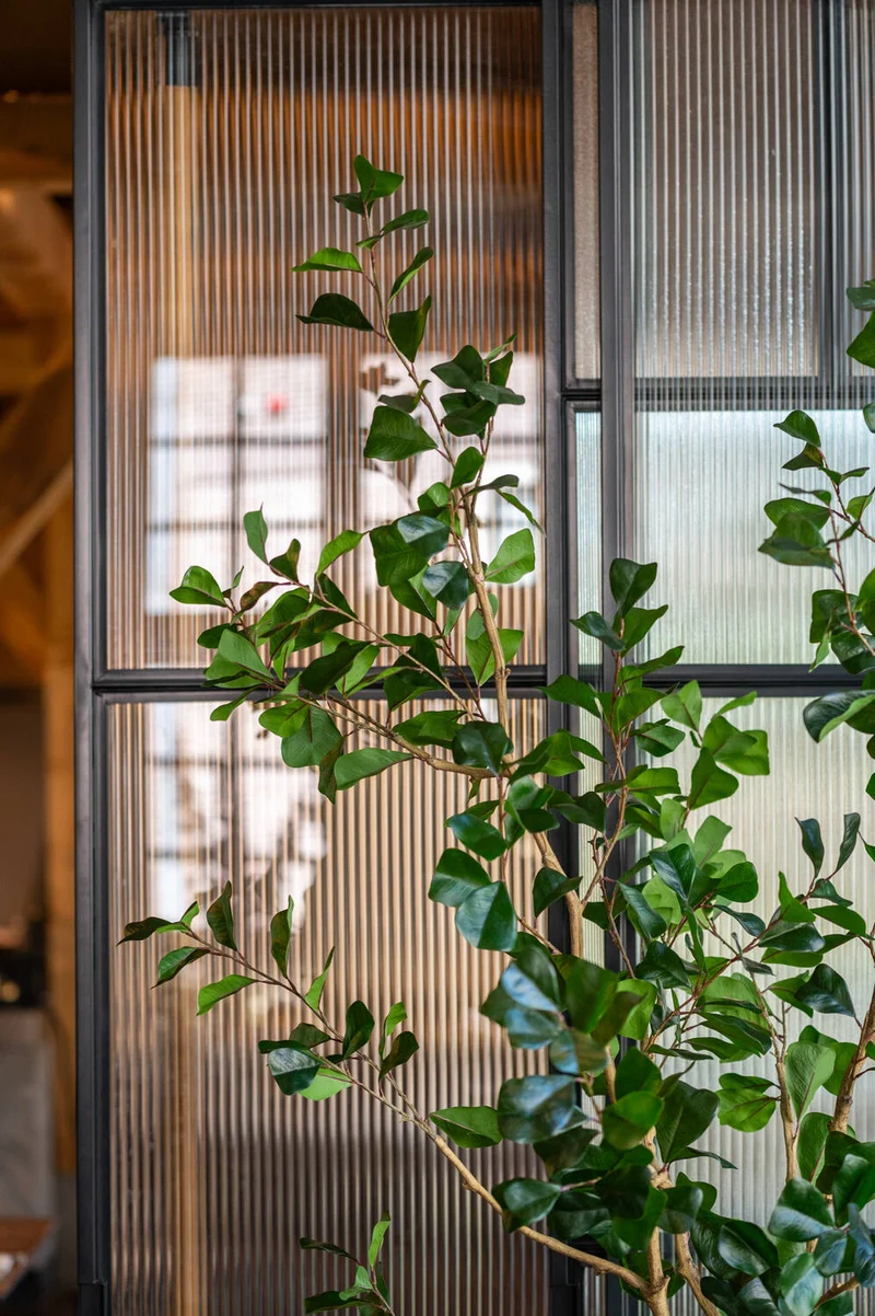 Ficus Triangularis künstlich, H: 180cm