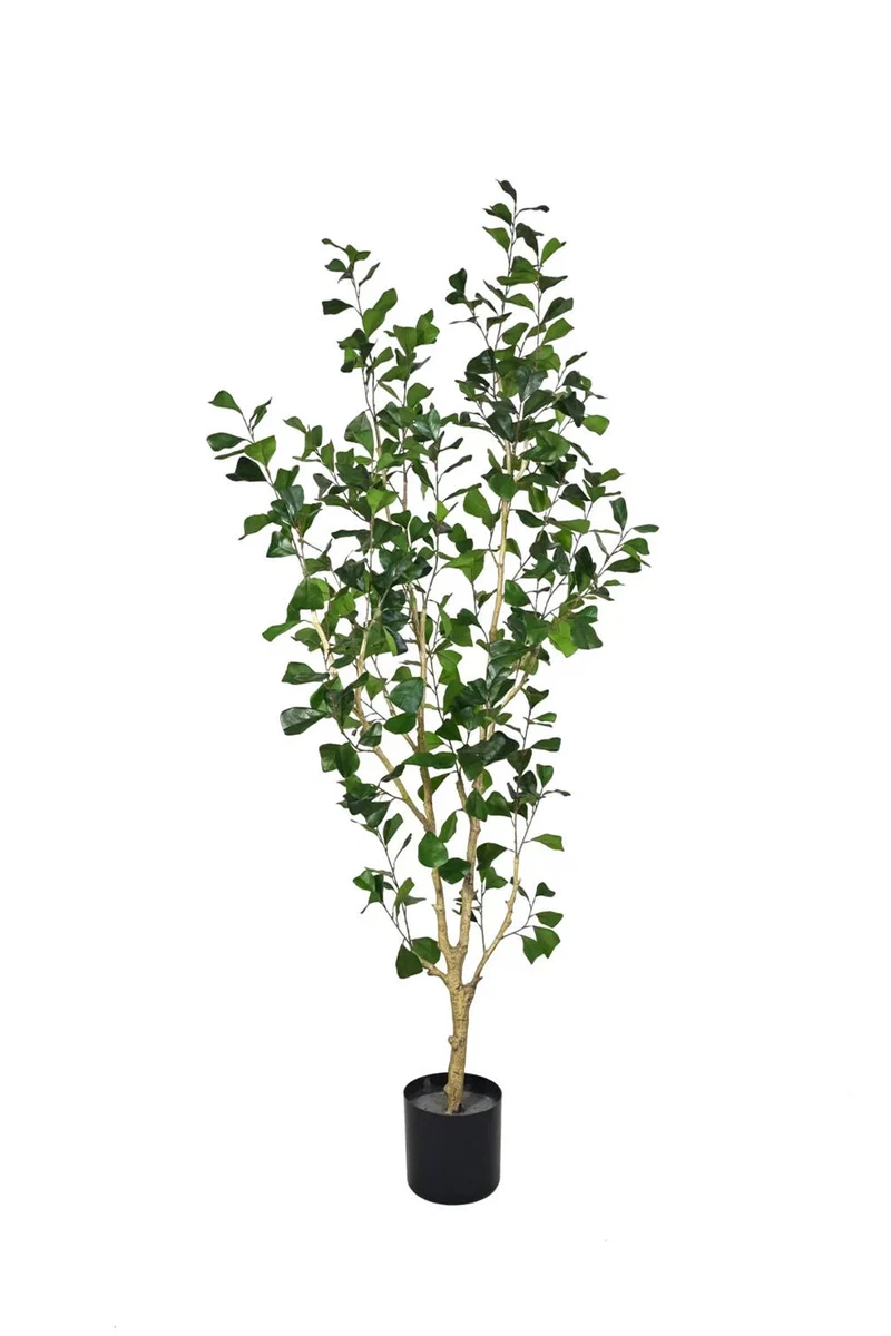 Ficus Triangularis künstlich, H: 180cm