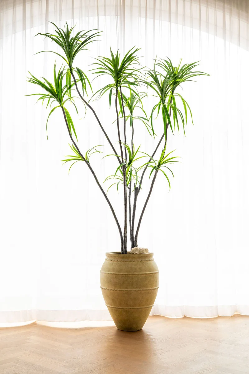 Dracaena Marginata künstlich, H: 230cm