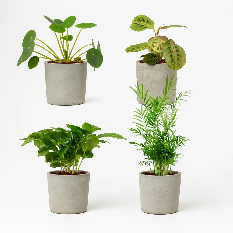 Tierfreundliches Pflanzenset - 4 Stück - 20-40cm