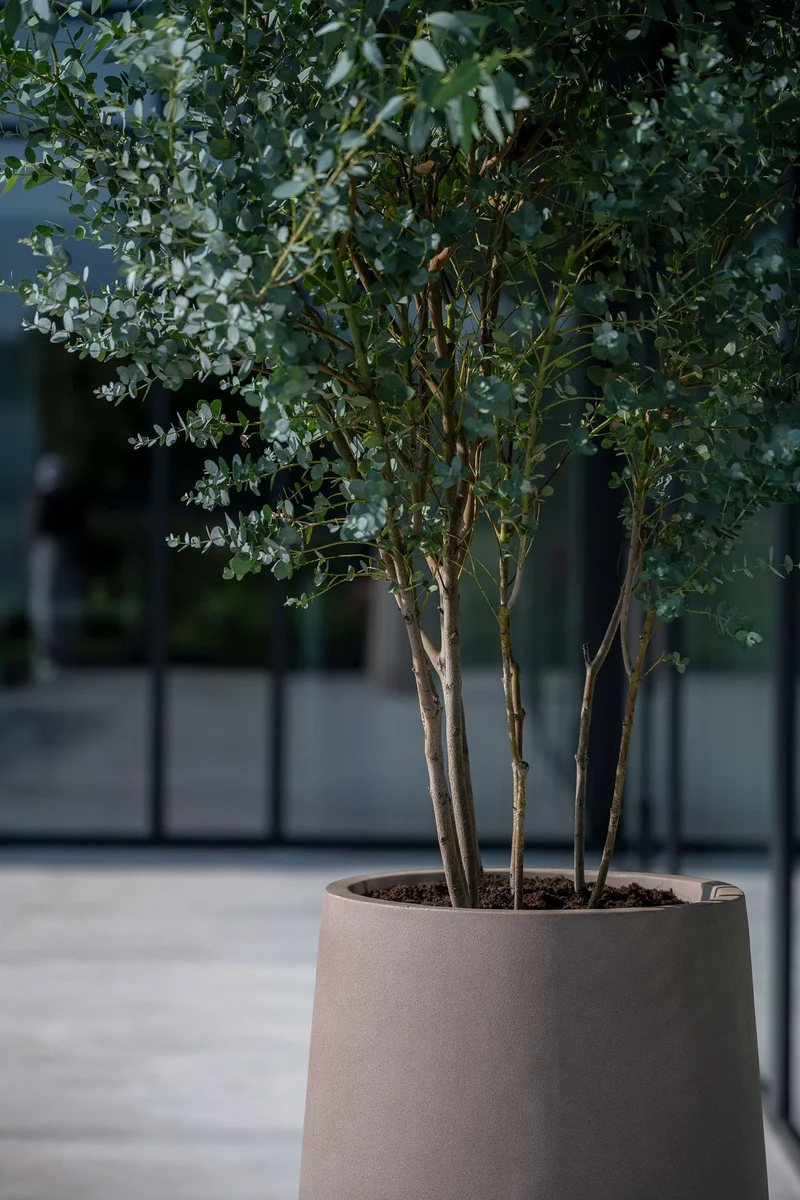 Pflanzkübel Nax Taupe, Bodenvase aus Fiberstone