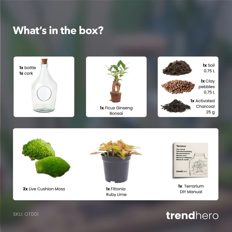 John - Open terrarium with cork - Bottle garden DIY kit - Ø 16 cm ↑ 30 cm