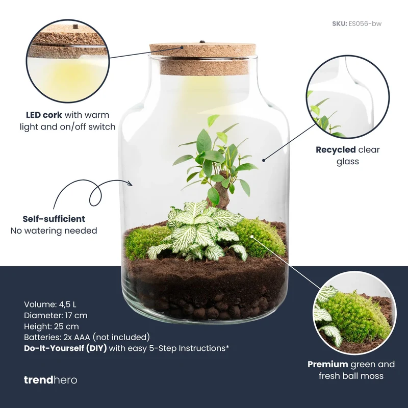 Little Milky - Bonsai - Terrarium with light - Bottle garden DIY kit - Ø 17 cm ↑ 25 cm