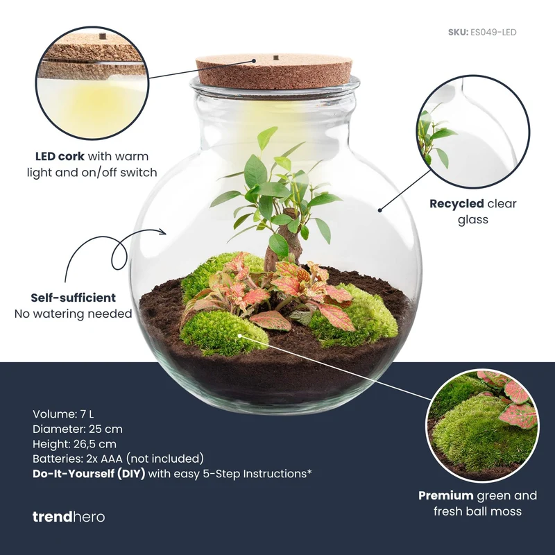 Teddy Bonsai Red - Terrarium with light - Bottle garden DIY kit - Ø 25 cm ↑ 26,5 cm