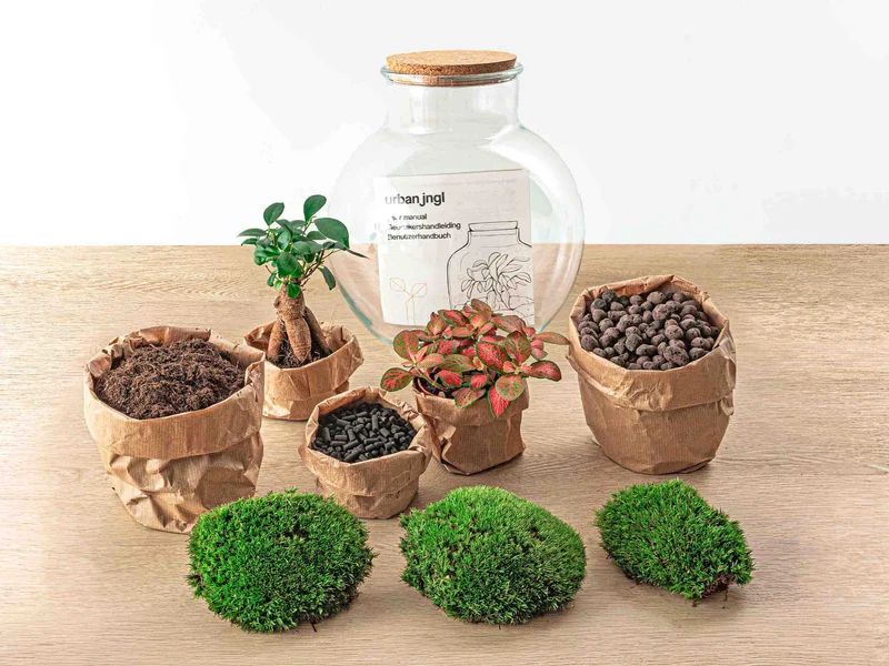 Teddy Bonsai Red - Terrarium with light - Bottle garden DIY kit - Ø 25 cm ↑ 26,5 cm