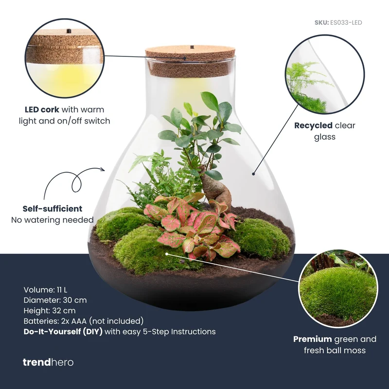 Sam XL Bonsai - Terrarium with light - Bottle garden DIY kit - Ø 30 cm ↑ 32 cm