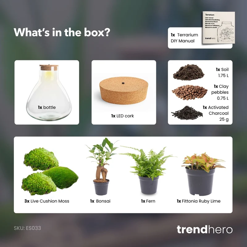Sam XL Bonsai - Terrarium with light - Bottle garden DIY kit - Ø 30 cm ↑ 32 cm