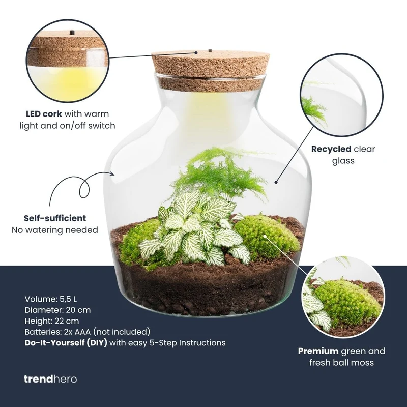 Little Joe Hedera Fittonia Ruby Lime - Terrarium with light - Bottle garden DIY kit - Ø 20 cm ↑ 22 cm