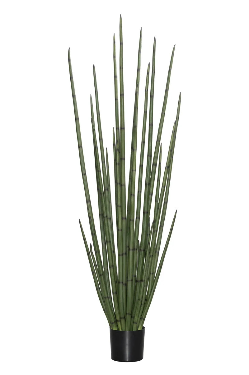 Sansevieria Cylindrica künstlich, H: 180cm