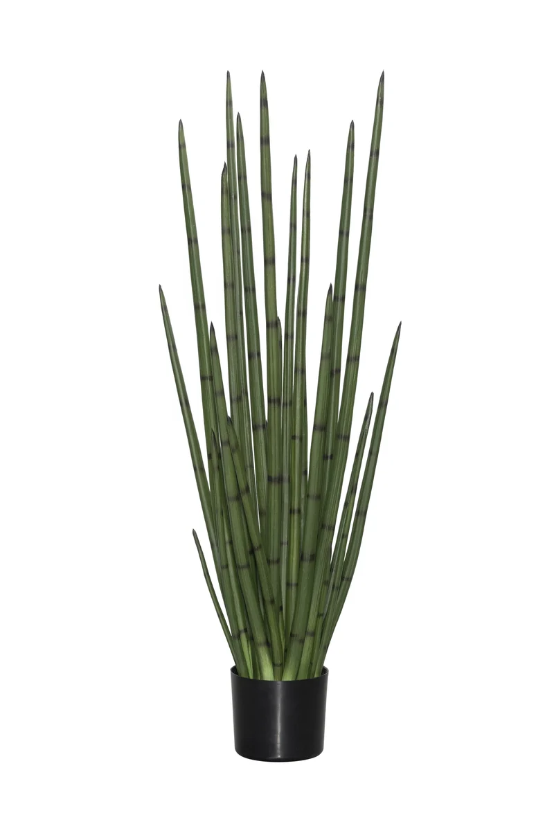 Sansevieria Cylindrica künstlich, H: 120cm