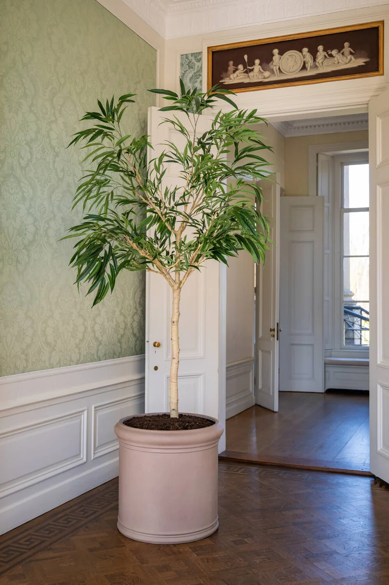 Ficus Alii künstlich, H: 230cm