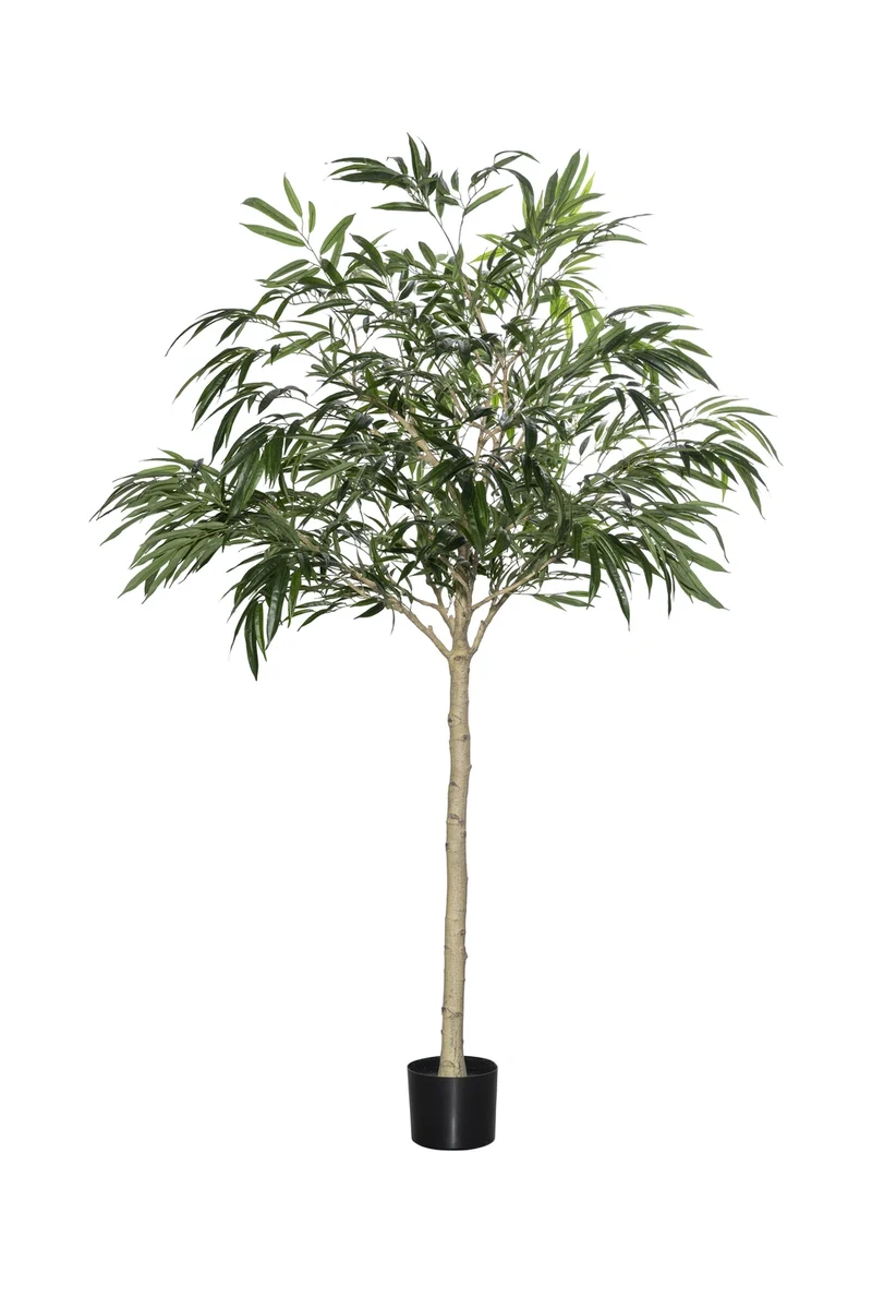 Ficus Alii künstlich, H: 230cm
