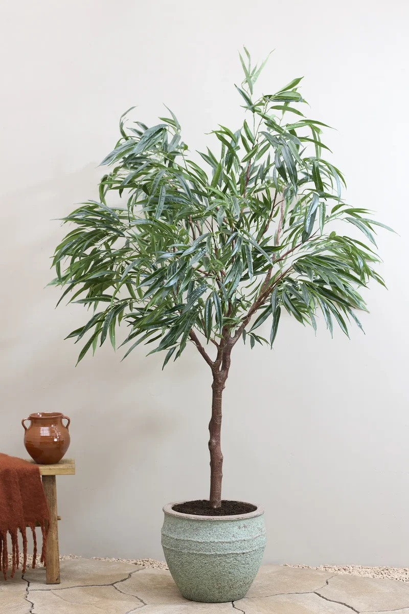 Ficus Alii künstlich, H: 180cm