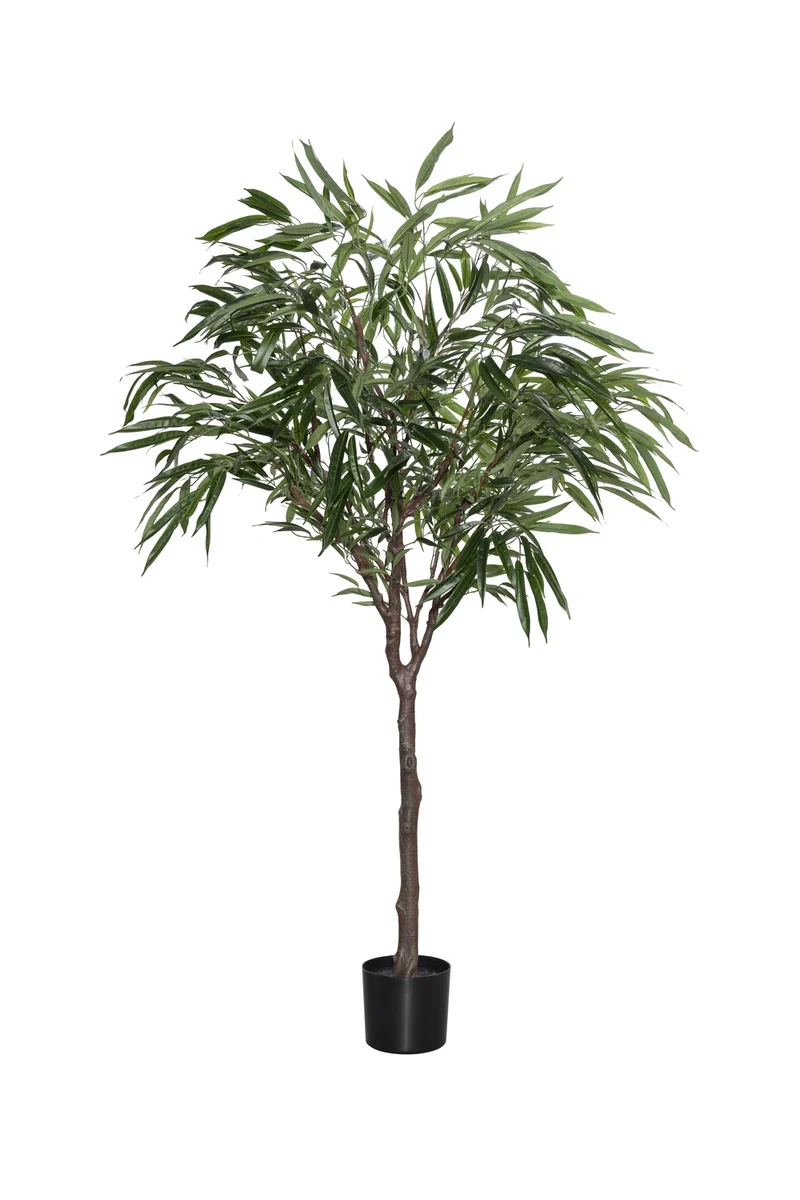 Ficus Alii künstlich, H: 180cm