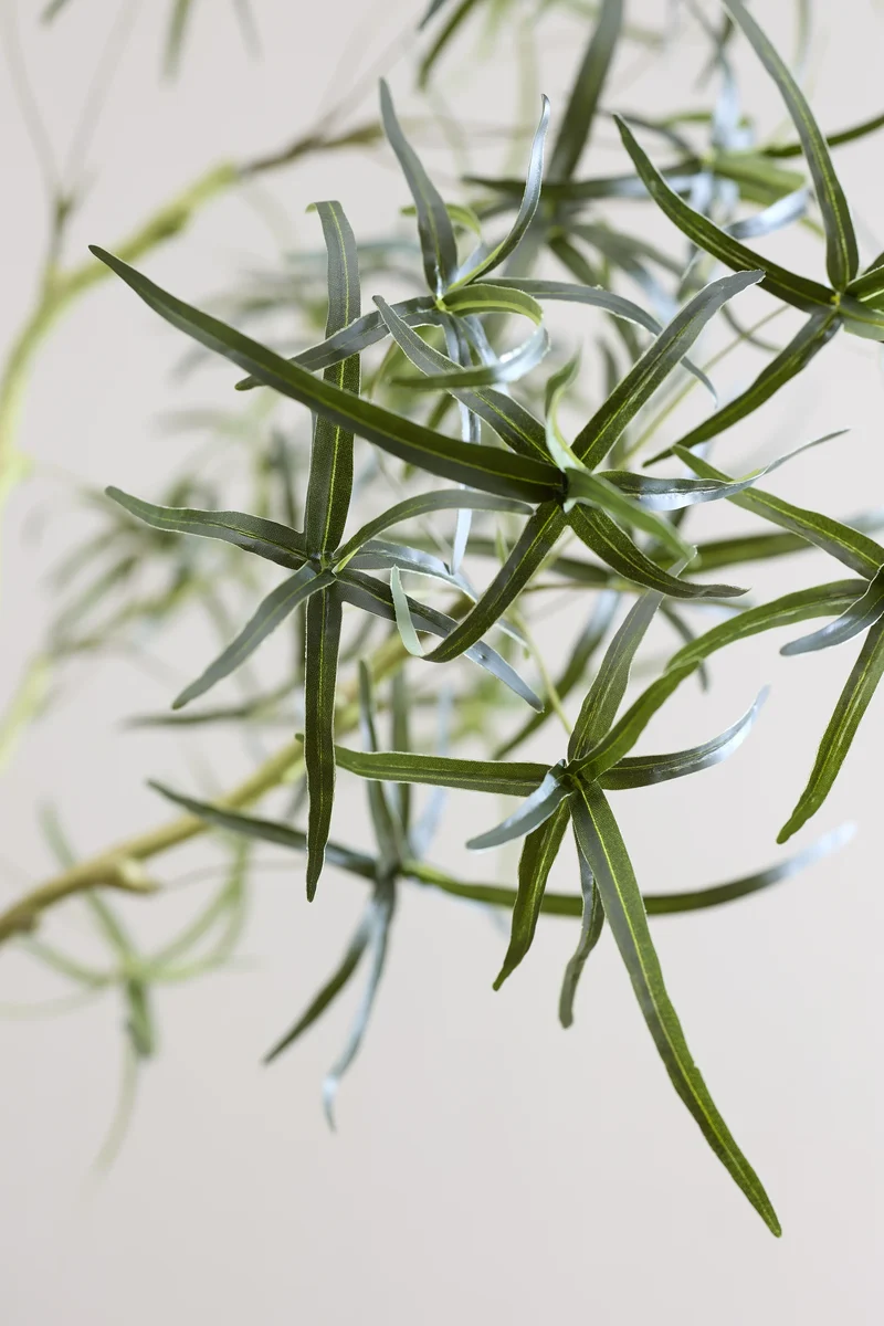 Queensland Bottle Tree künstlich, H: 240cm