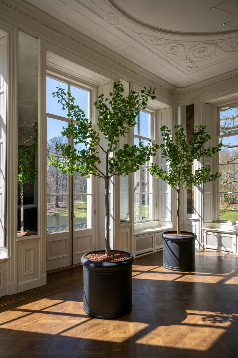 Ginkgo Biloba künstlich, H: 270cm