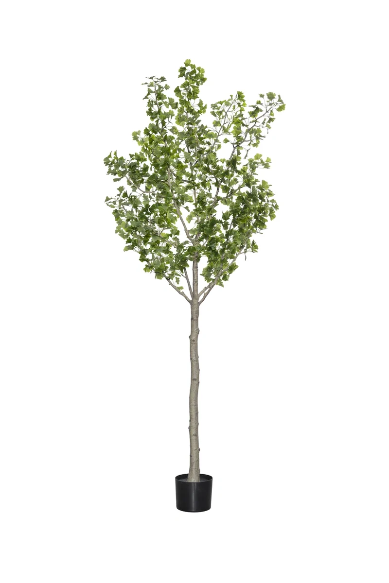 Ginkgo Biloba künstlich, H: 270cm
