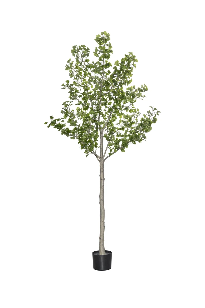 Ginkgo Biloba künstlich, H: 270cm