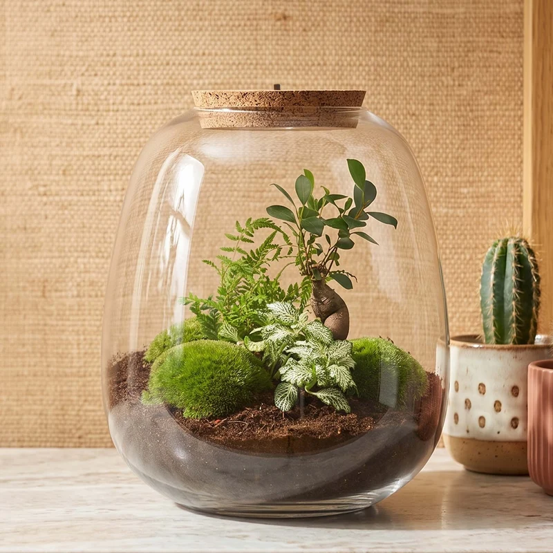 Emma - Bonsai White - Terrarium with light - Bottle garden DIY kit - Ø 23 cm ↑ 25 cm