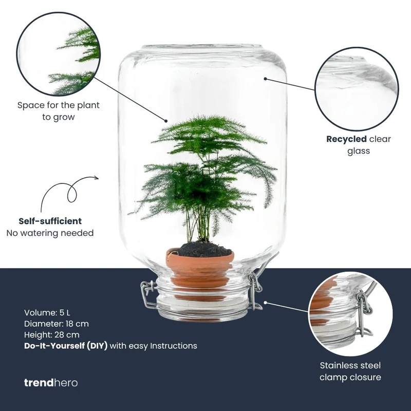 Easyplant Bonsai - Fido terrarium jar - Bottle Garden DIY kit - Ø 18 cm ↑ 28 cm