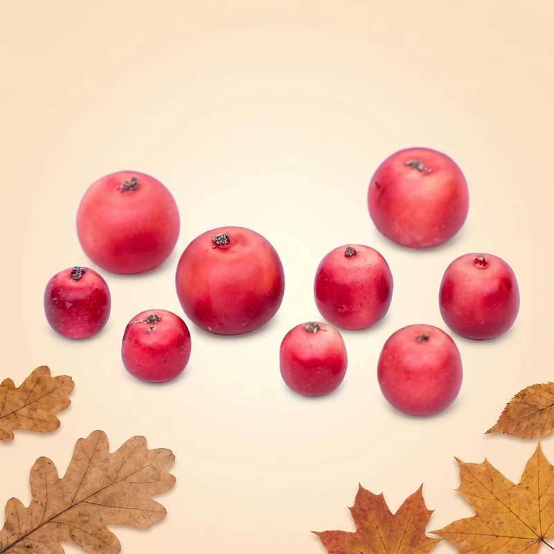 Apple Malus - 9pcs - 3-Sizes - Foam - Red