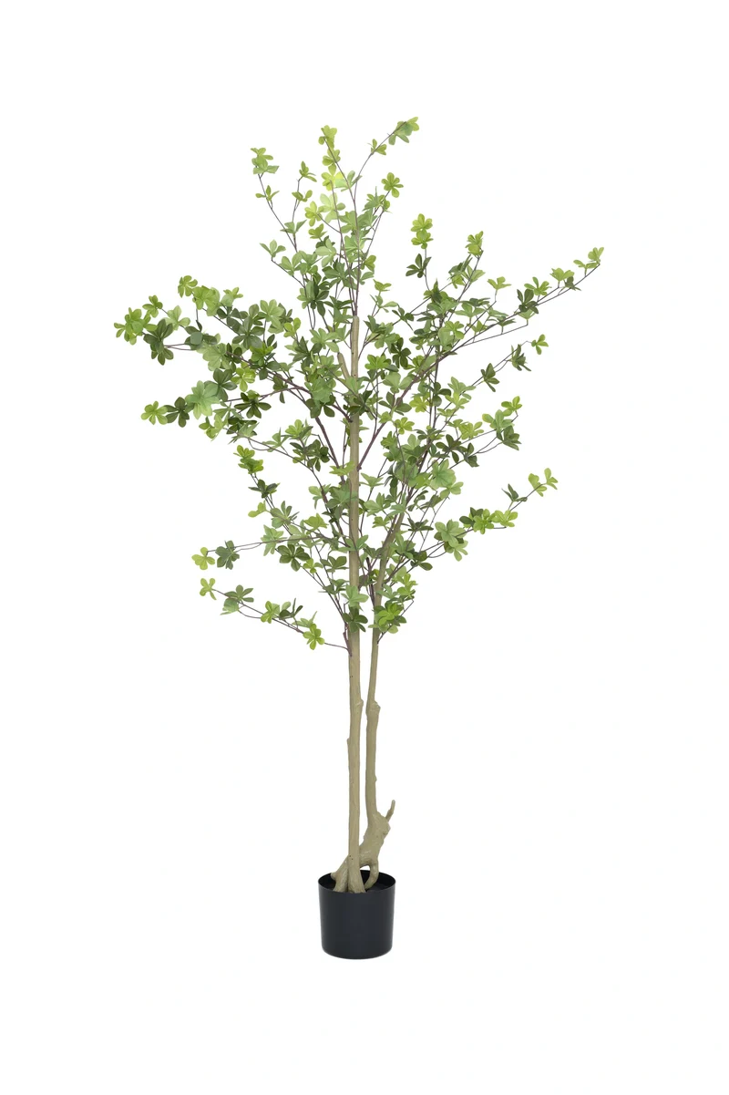 Enkianthus perulatus künstlich, H: 180cm