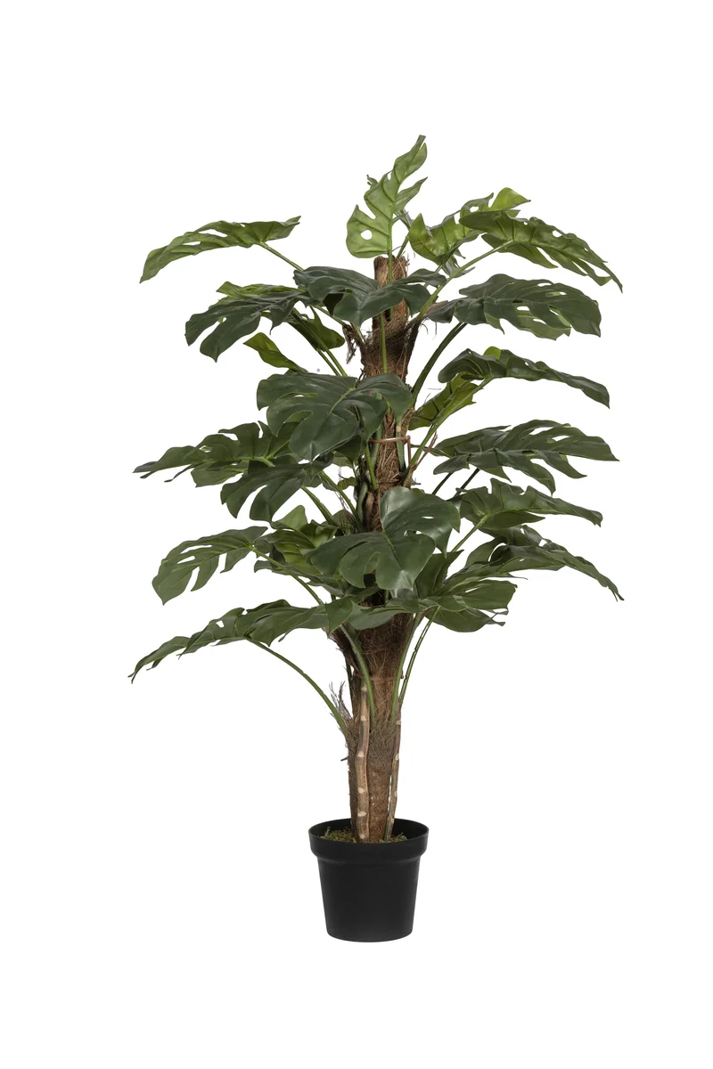 Monstera Pertusum künstlich, H: 140cm