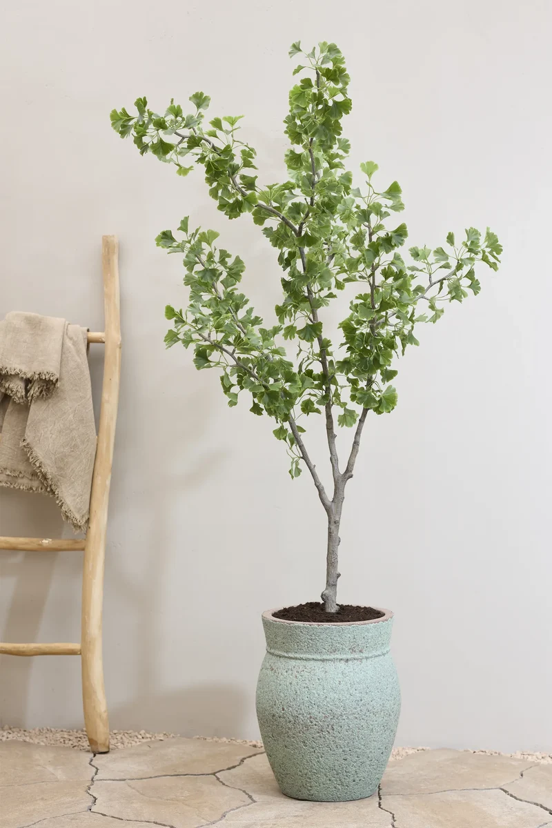 Ginkgo Biloba künstlich, H: 180cm