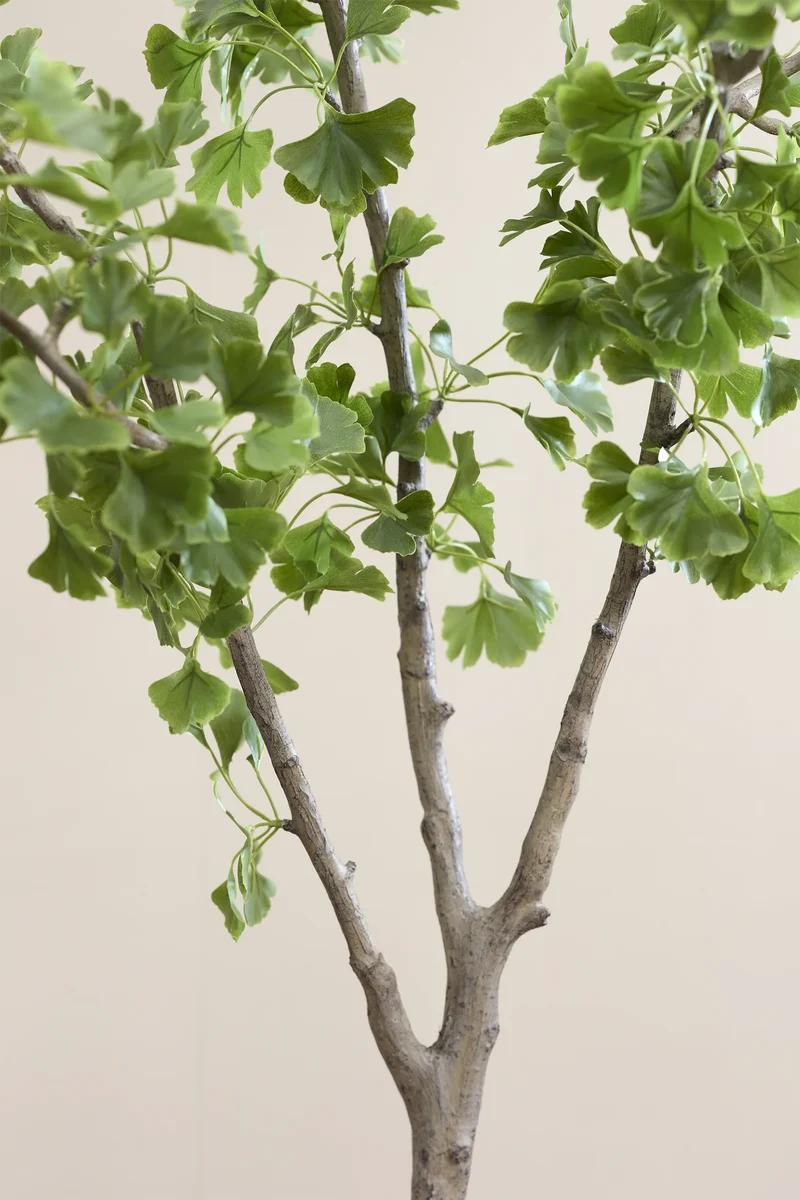Ginkgo Biloba künstlich, H: 180cm