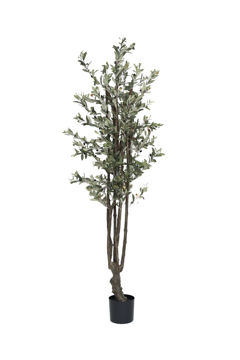 Olivenbaum künstlich, H: 185cm