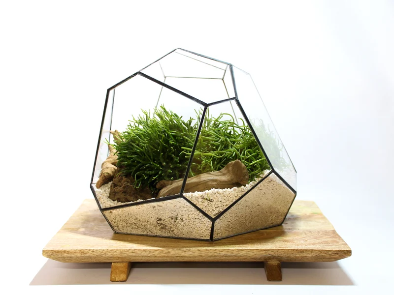 Geometric Terrarium - Torno - Vivarium - ↑ 28 x 26 x 24 cm (LxWxH) - Glass