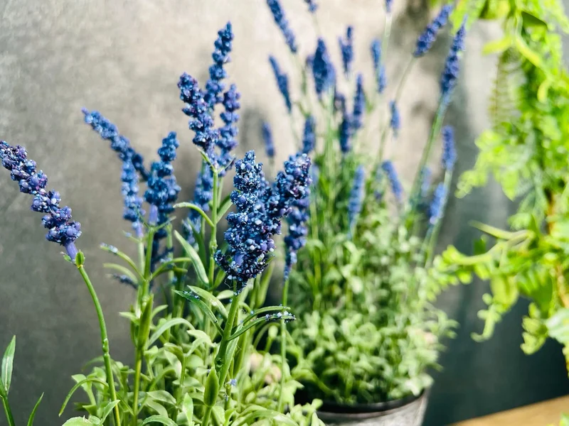 Künstlicher Lavendel Seidenblumen – Lavendelbusch im Topf langlebig